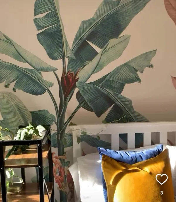 tropical wall mural transformation bedroom