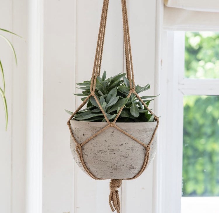 The best hanging plant pots for your home