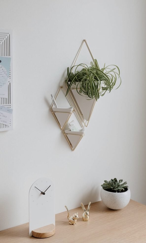 Geometric plant pots to hang on the wall