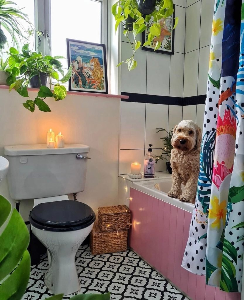 small bathroom with plants 