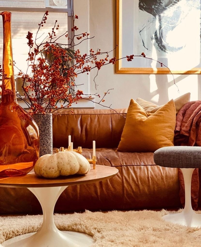 Orange and brown living scheme for coziness 