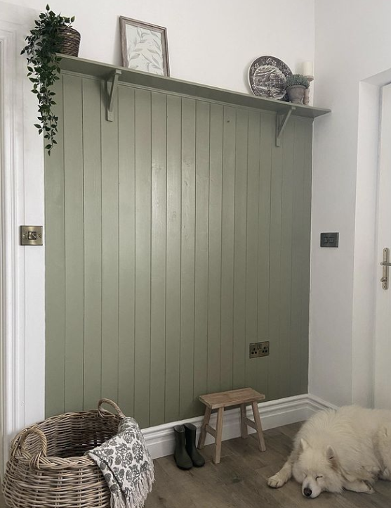 green panelling feature wall in utility room