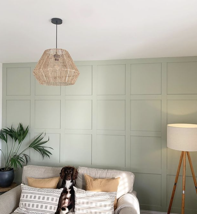 sage green panelling full length wall