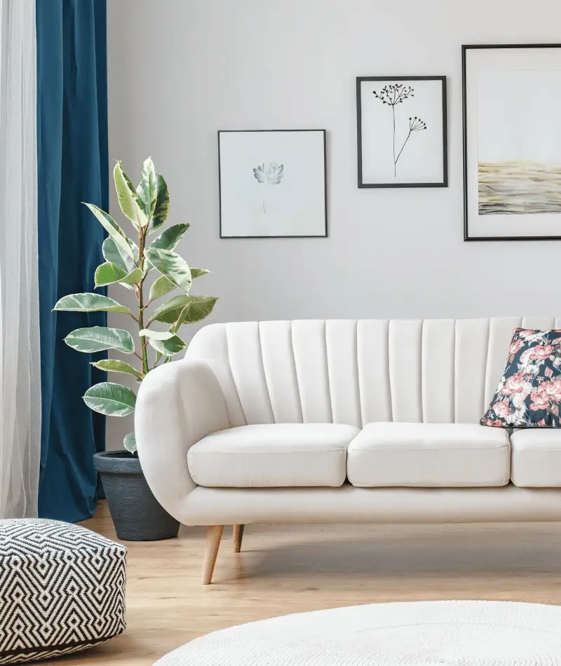 grey living room with nature prints and plants