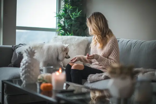 women with pet dog on sofa giving treats