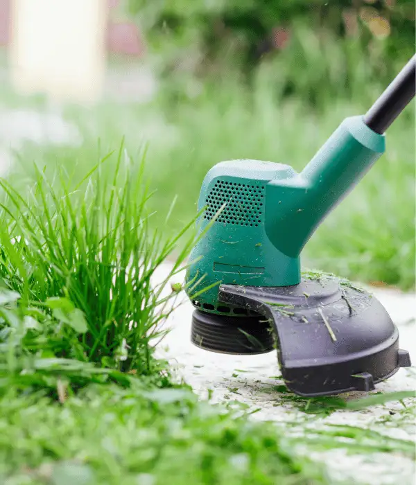 image of a grass trimmer on the lawn