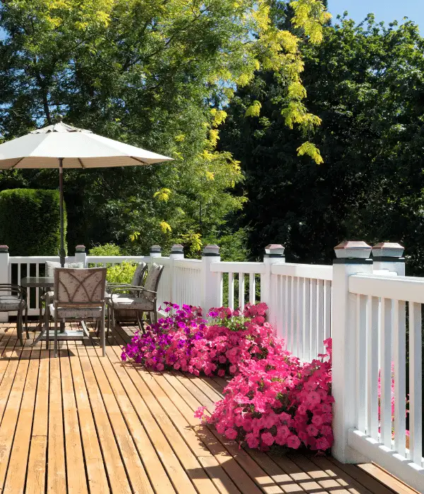 keep your deck clean and treated to warn off pests in the garden