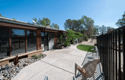 Transform Your Outdoor Space on a Budget with These Eco-Friendly Design