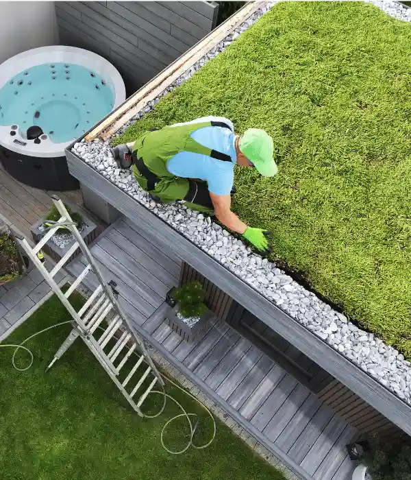 green roofing