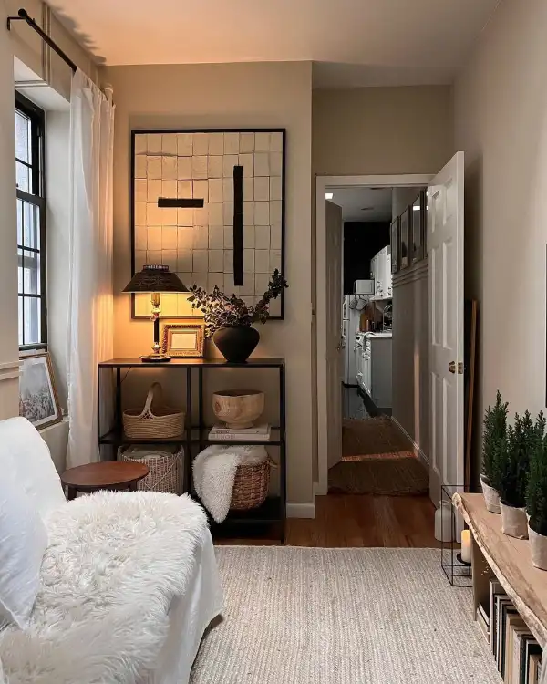 narrow living room apartment with storage