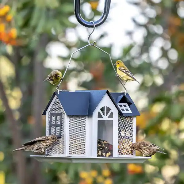 winter backyard ideas - bird feeder