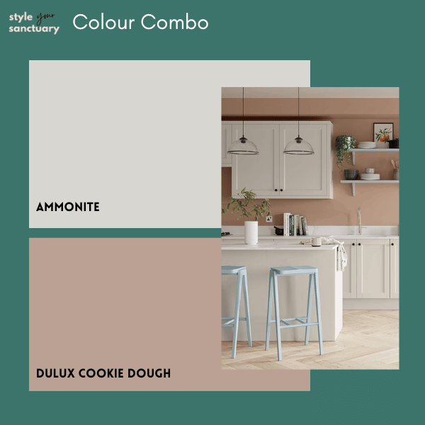 colours that go with farrow and ball ammonite - cookie dough
