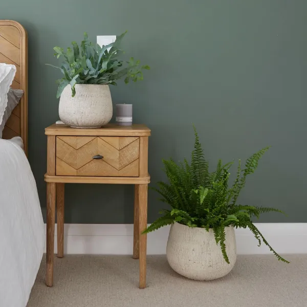 neutral plant pot for bedroom
