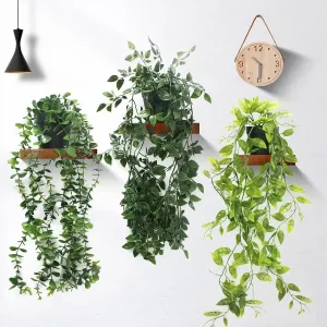 small plants for floating shelves in bedroom
