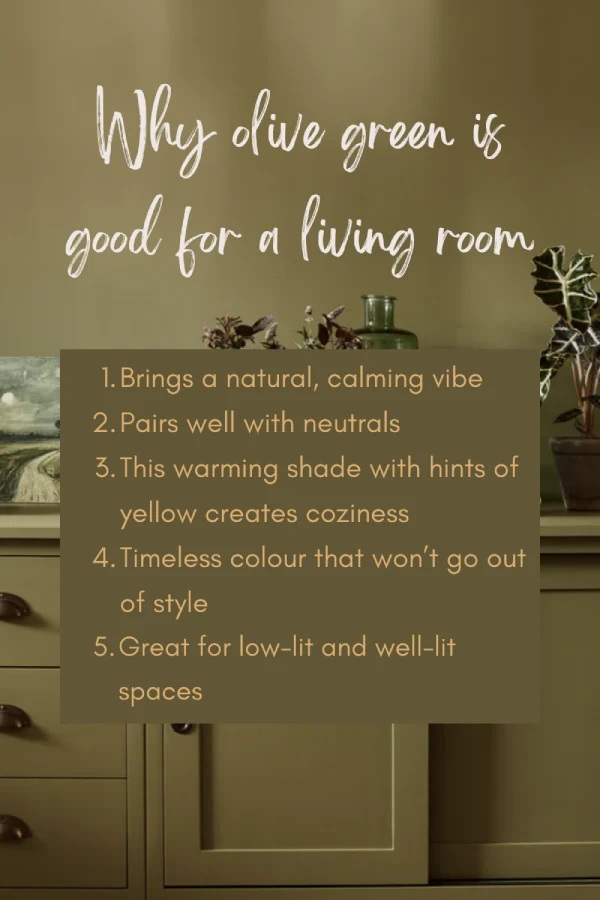 reasons olive green is good for living rooms