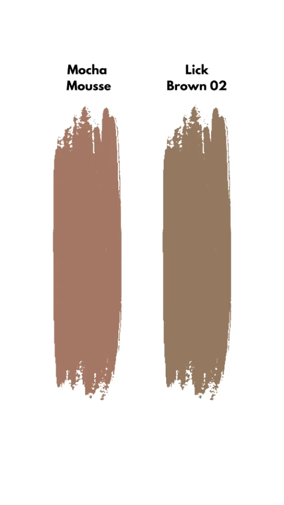 lick brown 02 mocha mousse dupe