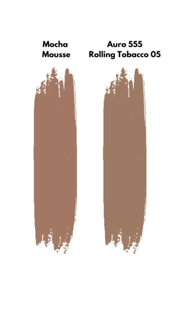 rolling tobacco 05 mocha mousse dupe