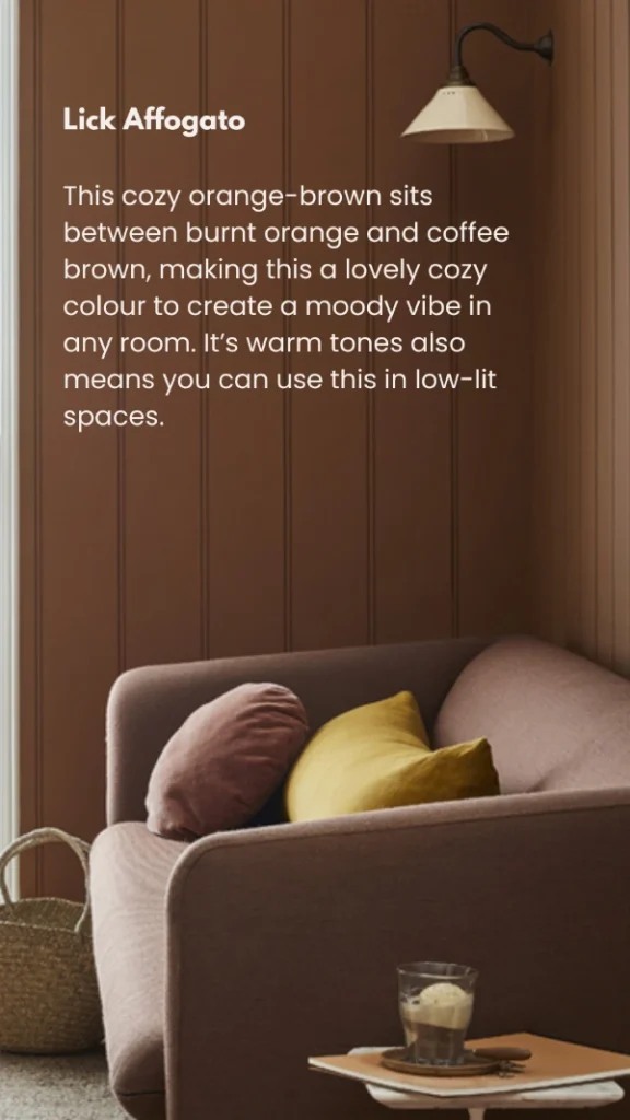 cozy brown paint colour idea for the home