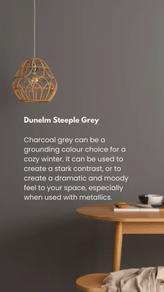 cozy dark grey paint colour idea for the home