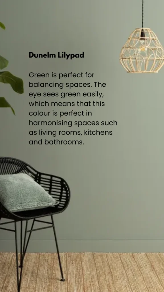 cozy green paint colour idea for the home