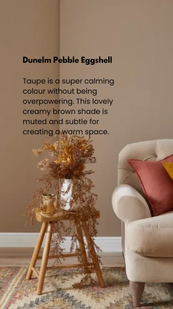 cozy taupe paint colour idea for the home