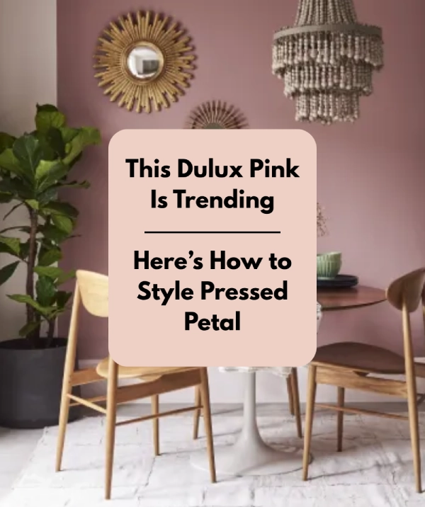 How To Style Dulux Pressed Petal Paint Beautifully