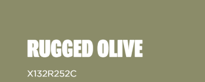 Valspar rugged olive living room scheme