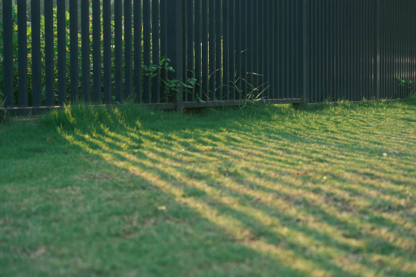 Creative and Affordable Ways to Enhance Garden Privacy