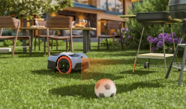 How to Get a Professional-Looking Lawn Without Hiring Help